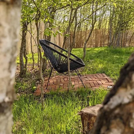 Hurra Dziura * Salino