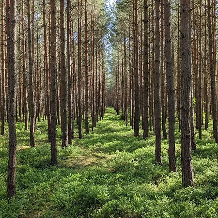 Hurra Dziura 펜션 *