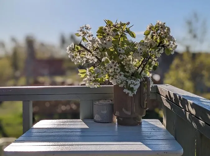 Hurra Dziura Tatil Evi *