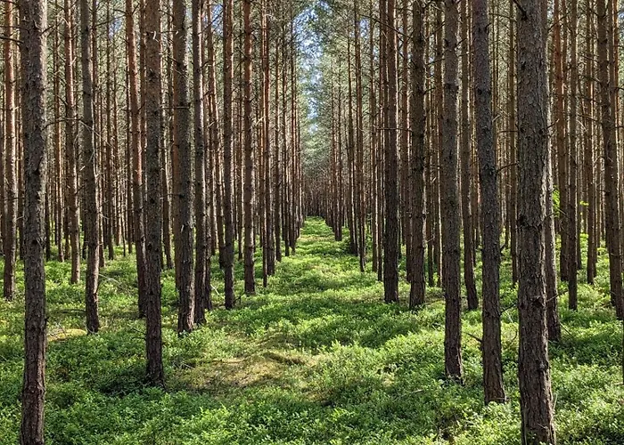 Hurra Dziura 度假居 *